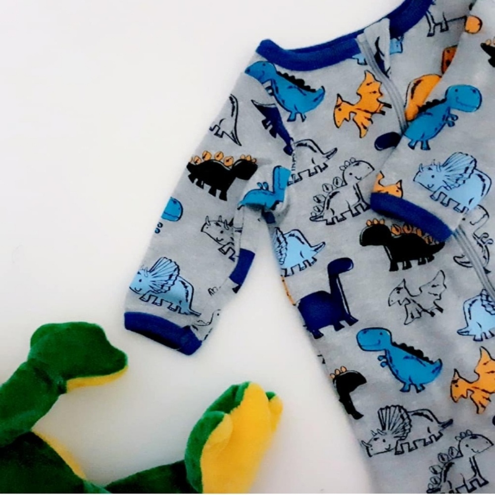 Dinosaur Long Sleeve Sleep & Play Baby Boy